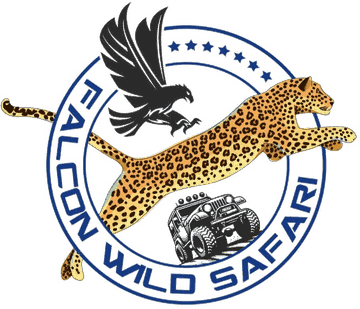 Falcon Wild Safari logo